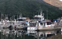 19 Mussel Boats in marina