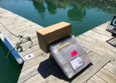 013 Parcels on the dock